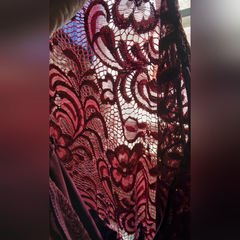 Elegant Burgundy Lace Dress - Picture 6 of 6